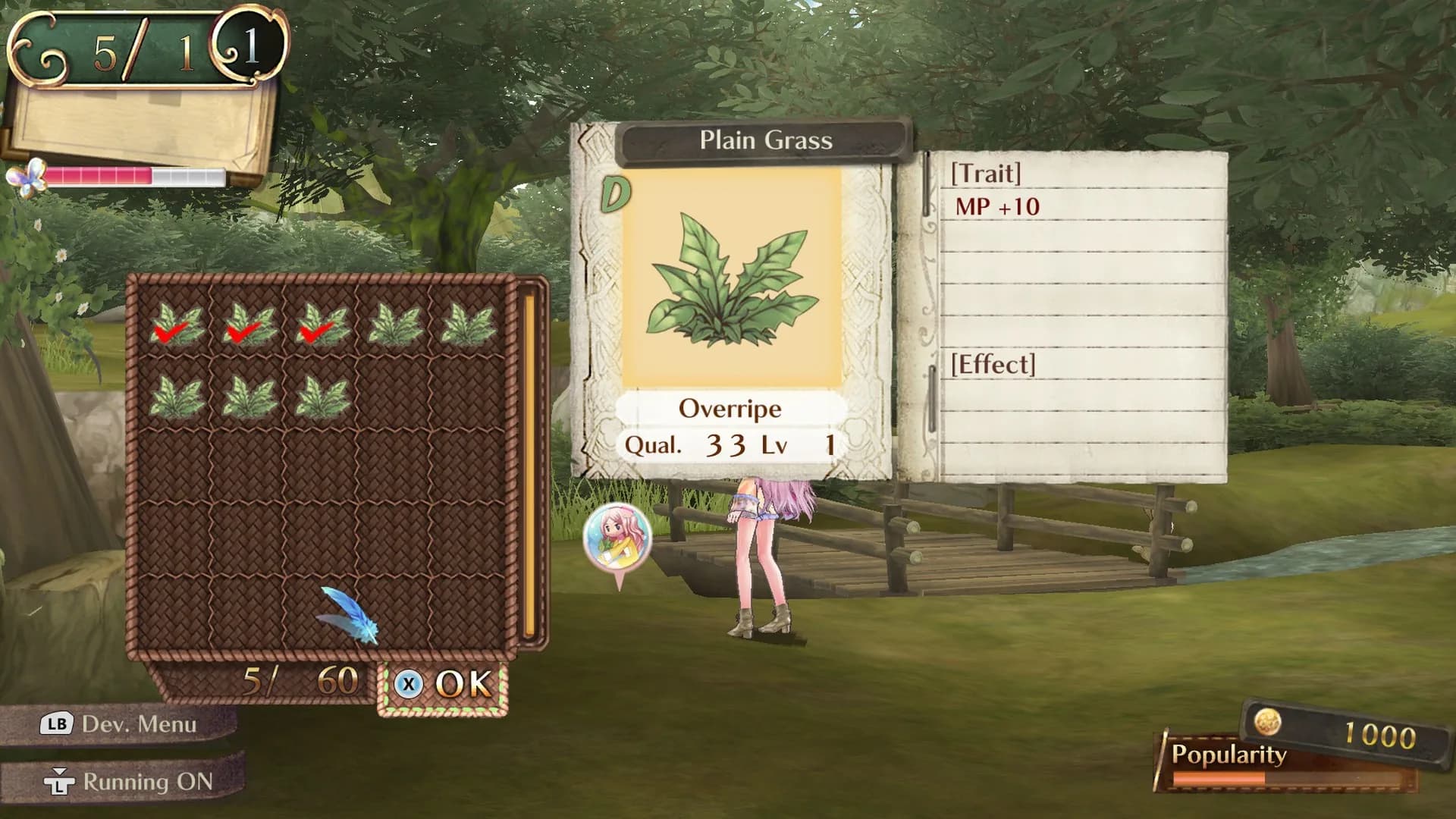 Atelier Meruru ~The Apprentice of Arland~ DX görsel 14