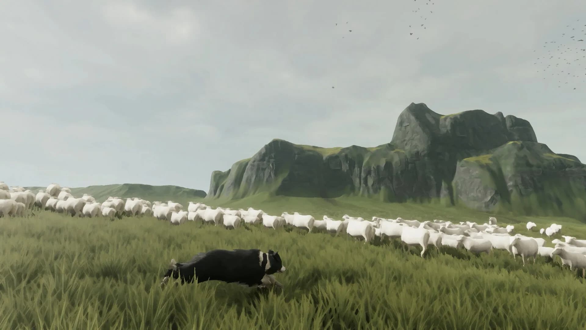 The Free Shepherd görsel 2