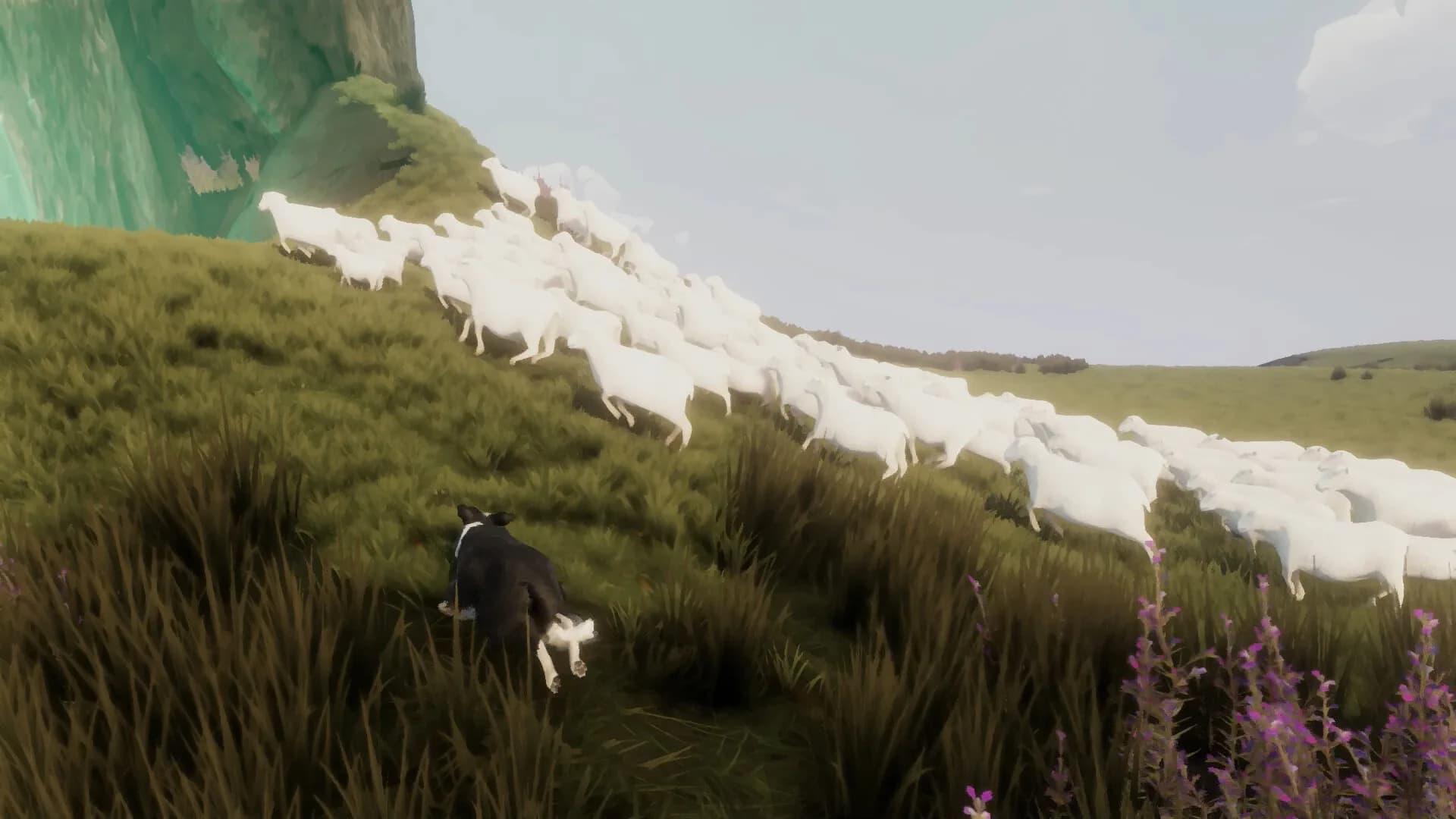 The Free Shepherd görsel 3