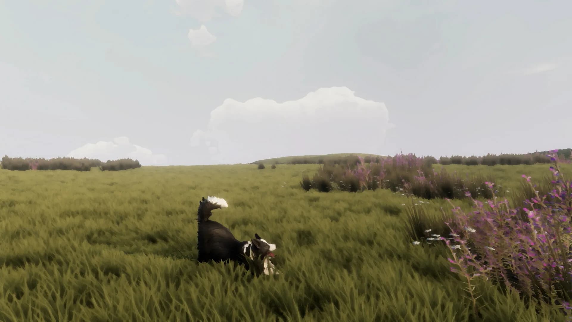 The Free Shepherd görsel 4