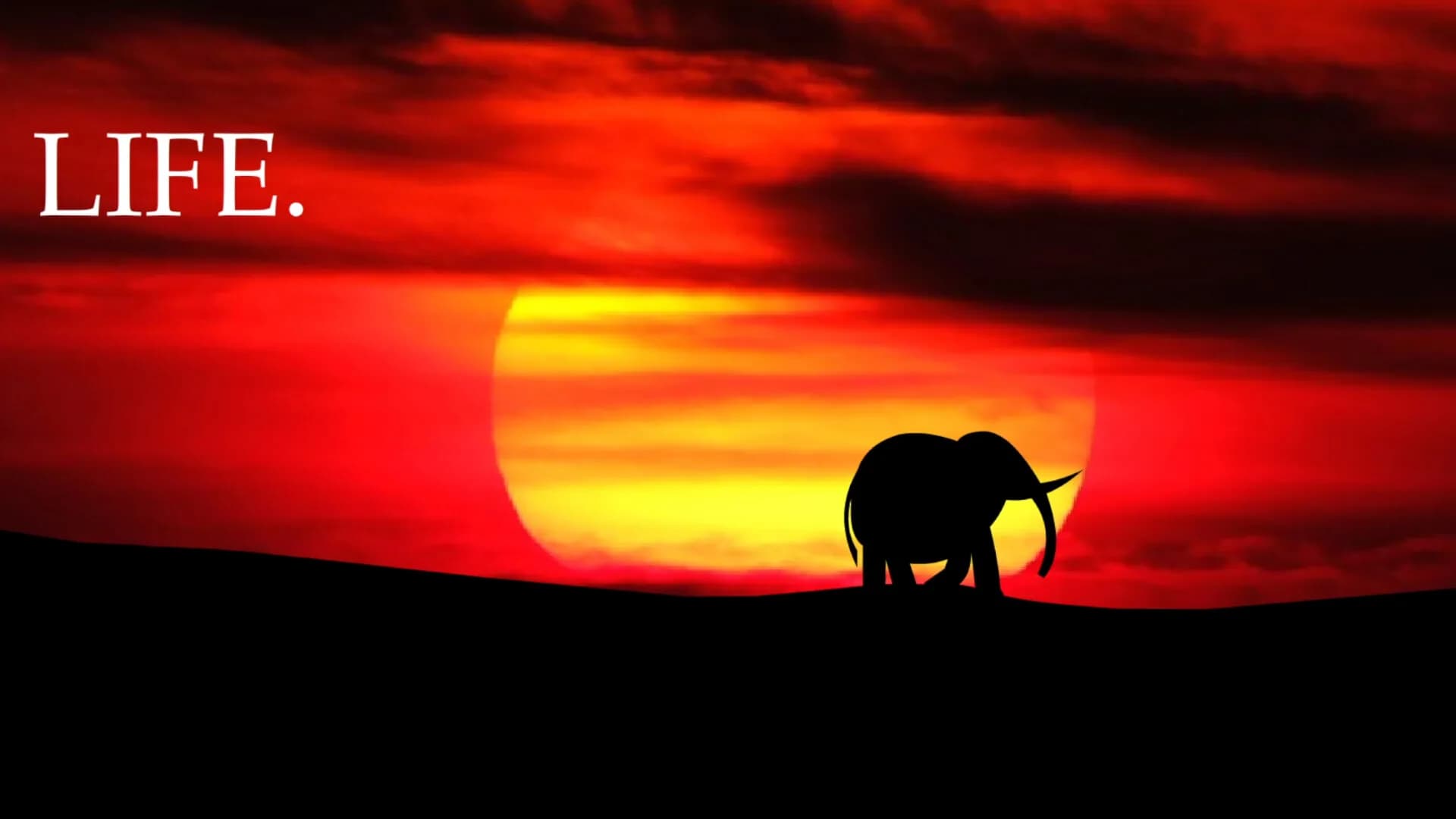 Elephant Rave 2 görsel 9