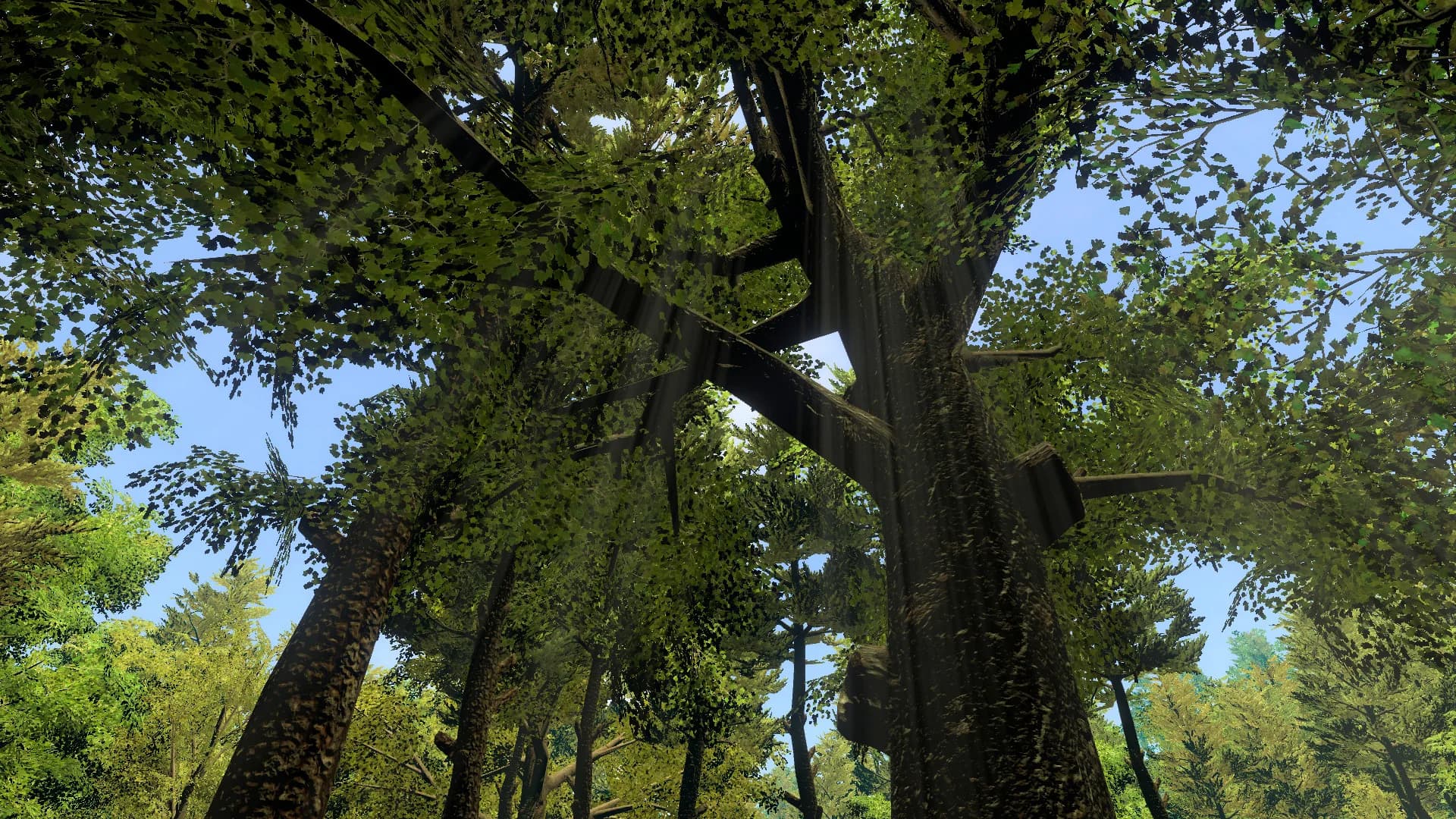 Go Outside Simulator görsel 2