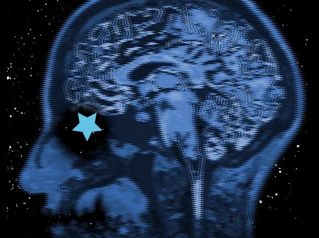 The Endless Empty görsel 3