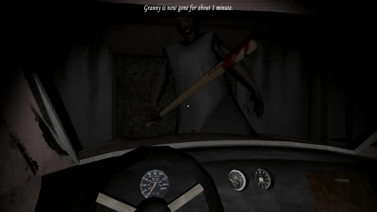 Granny görsel 9