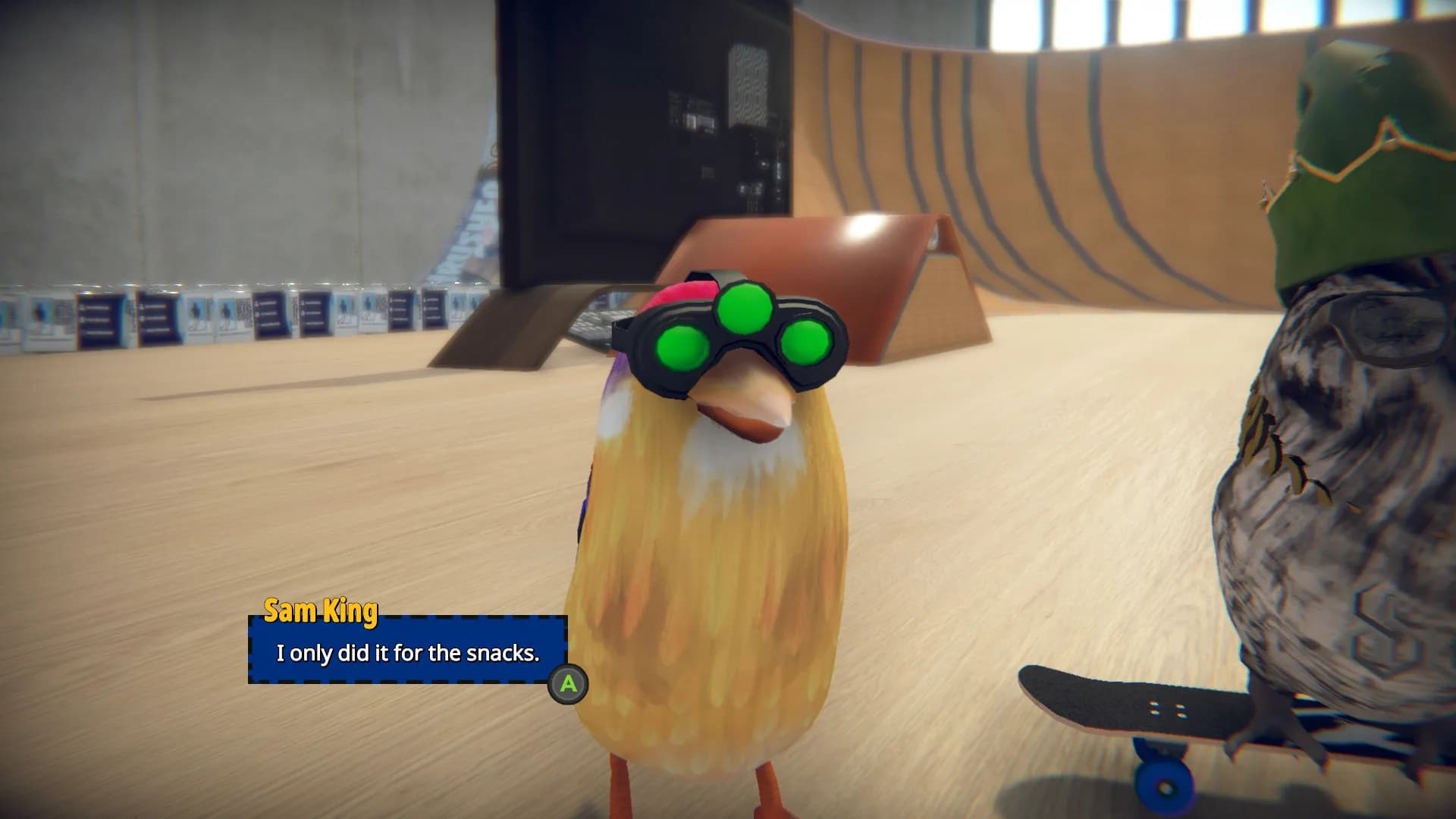 SkateBIRD görsel 4