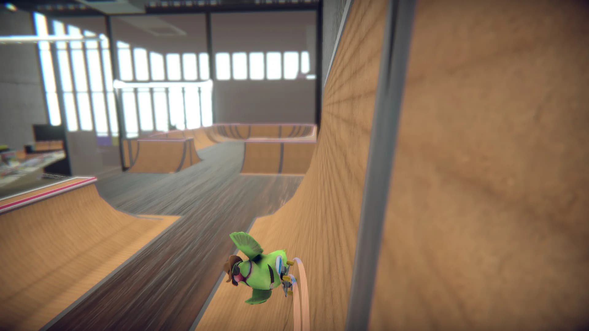SkateBIRD görsel 6