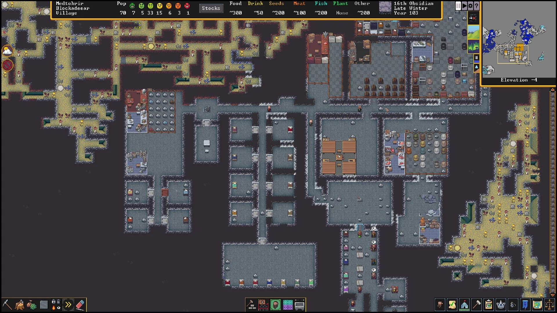 Dwarf Fortress görsel 12