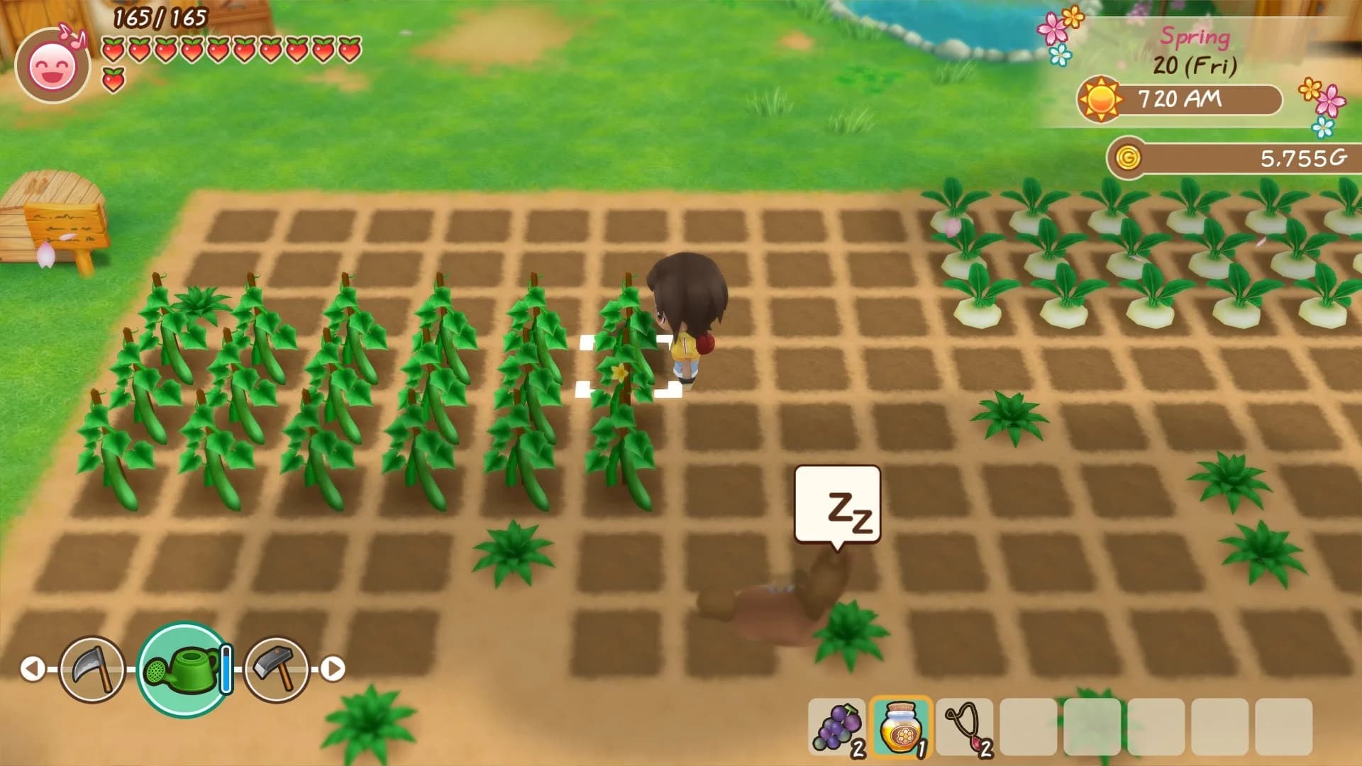 STORY OF SEASONS: Friends of Mineral Town görsel 4