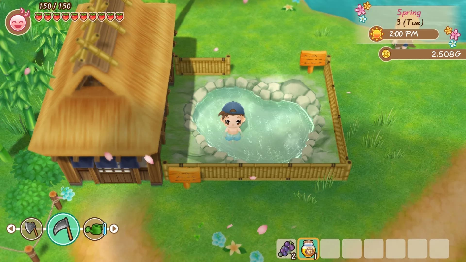 STORY OF SEASONS: Friends of Mineral Town görsel 11
