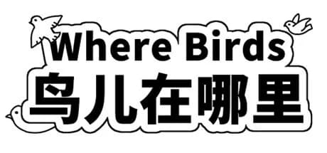 Where Birds 鸟儿在哪里 görsel 1
