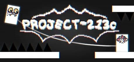Project 213c